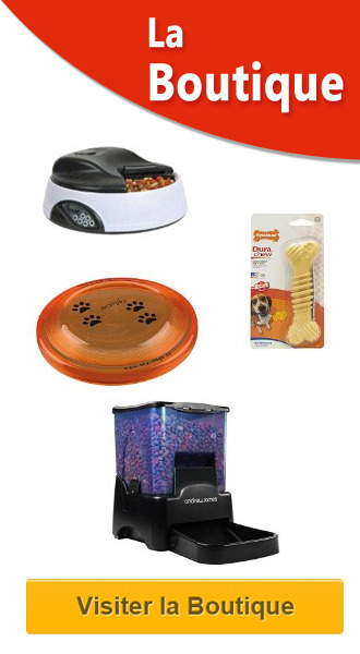 boutique bouledogue francais